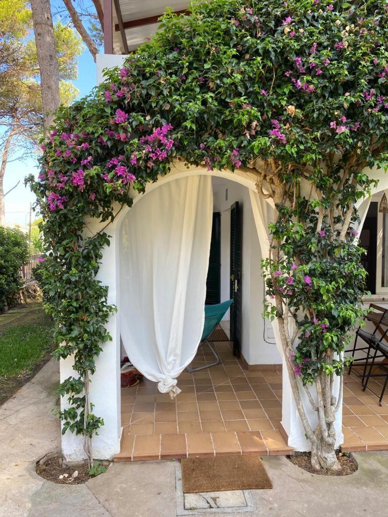 Bellver 1, Ciutadella-Cala Blanca カラ・ブランカ 部屋 写真